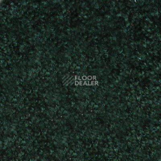 Ковролин Hidden Treasure Beaulie of America Black Forest 01 фото 1 | FLOORDEALER