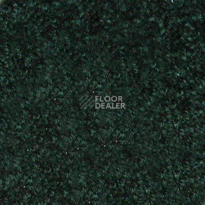 Ковролин Hidden Treasure Beaulie of America Black Forest 01 фото 1 | FLOORDEALER