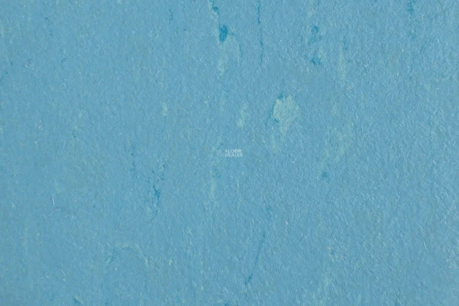 Forbo Marmoleum Solid Piano 3644-364435 Nordic blue фото 2 | FLOORDEALER