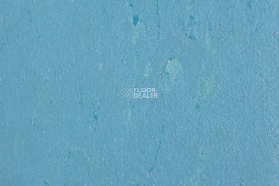 Forbo Marmoleum Solid Piano 3644-364435 Nordic blue фото 2 | FLOORDEALER