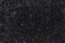 Flotex Colour embossed tiles tg 546508 Metro Anthracite Glass Embossed фото 2 | FLOORDEALER