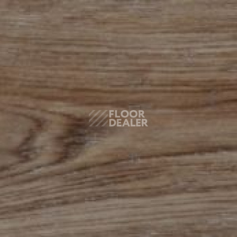 Evofloor Optima Click 4.2мм Дуб Бронза фото 2 | FLOORDEALER