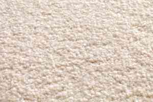 Ковролин Jacaranda Carpets Tapanui Porcelain фото  | FLOORDEALER