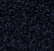 Ковролин Edel Vivaldi 181 фото 1 | FLOORDEALER