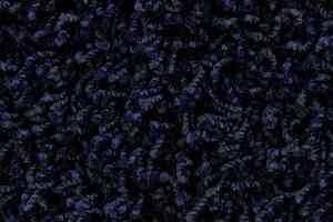 Ковролин Edel Vivaldi 181 фото  | FLOORDEALER