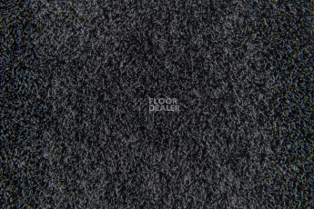 Flotex Colour Calgary 50*50 t590010 Calgary Ash фото 3 | FLOORDEALER