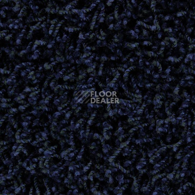 Ковролин Edel Vivaldi 181 фото 1 | FLOORDEALER