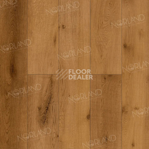Ламинат Norland Elegant 8мм Дуб Помона LF301-13 фото 1 | FLOORDEALER