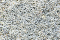 Ковролин Forbo Markant 11110 Quartz фото 1 | FLOORDEALER