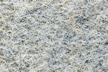 Ковролин Forbo Markant 11110 Quartz фото 1 | FLOORDEALER