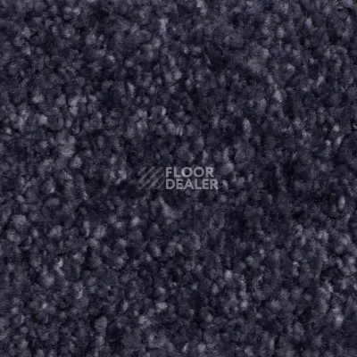 Ковролин AW Masquerade Certosa 78 фото 1 | FLOORDEALER