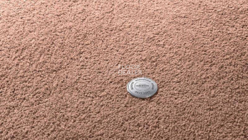 Ковролин Vorwerk Superior 1065/Viola Vorwerk 1n46 фото 1 | FLOORDEALER