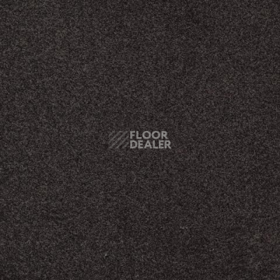 Ковролин Gleam W2W 866 Gleam w2w фото 1 | FLOORDEALER