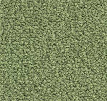 Ковролин Balsan Les Best III Les Best III 255 фото 1 | FLOORDEALER