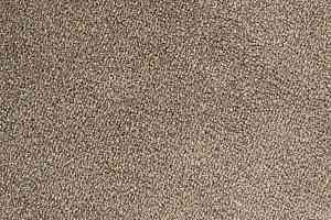 Ковролин Edel Ambition 153 фото  | FLOORDEALER