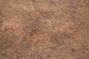 Линолеум Novoflor Extra Orion 2393-1 фото  | FLOORDEALER