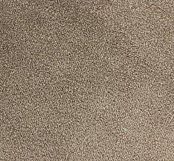 Ковролин Edel Ambition 153 фото 1 | FLOORDEALER