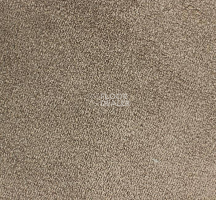 Ковролин Edel Ambition 153 фото 1 | FLOORDEALER