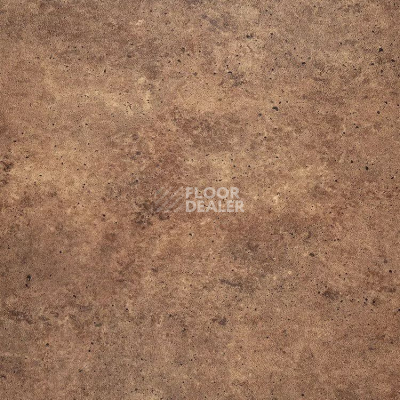 Линолеум Novoflor Extra Orion 2393-1 фото 1 | FLOORDEALER