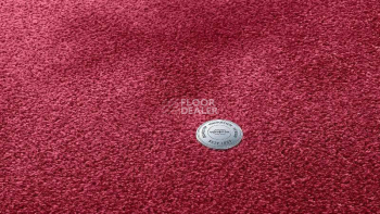 Ковролин Vorwerk Superior 1064/Lyrica Vorwerk 1n41 фото 1 | FLOORDEALER