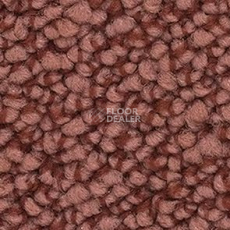 Ковролин Balsan Metis Metis 570 фото 1 | FLOORDEALER