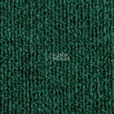 Ковролин Sintelon Horizon 55803 фото 1 | FLOORDEALER