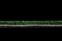 IVC Animate 621 фото 5 | FLOORDEALER