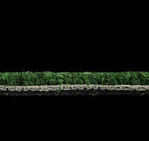 IVC Animate 621 фото 5 | FLOORDEALER