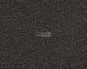 Ковролин Lano Moon 800 Ebony фото 1 | FLOORDEALER