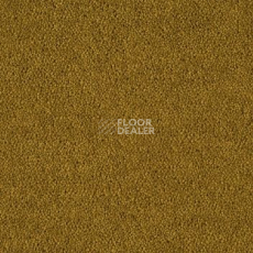 Ковровая плитка Burmatex Axis 11487 Allspice фото 1 | FLOORDEALER