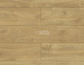 Ламинат Kronopol Platinium Holiday AQUA BLOCK 8mm Kronopol Platinium Holiday Aqua Block 24h Дуб Маврикий D40124 фото 1 | FLOORDEALER