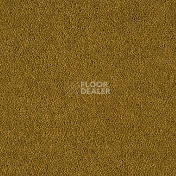 Ковровая плитка Burmatex Axis 11487 Allspice фото 1 | FLOORDEALER