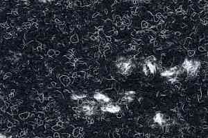 Ковролин Finett Accent 7650 фото  | FLOORDEALER