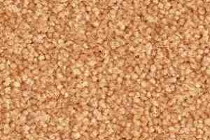 Ковролин Balsan Bolero roll 441 фото  | FLOORDEALER