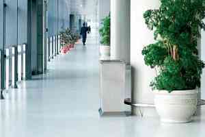 Линолеум Grabo EcoSafe EcoSafe фото  | FLOORDEALER