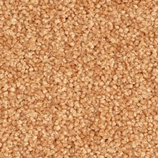 Ковролин Balsan Bolero roll 441 фото 1 | FLOORDEALER