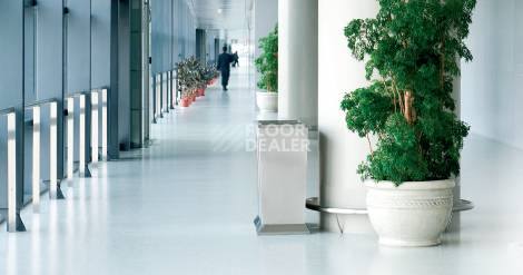 Линолеум Grabo EcoSafe EcoSafe фото 1 | FLOORDEALER