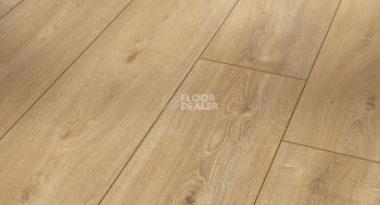 Ламинат Parador Trendtime 6 1567468 Дуб Нова Отбеленный фото 1 | FLOORDEALER