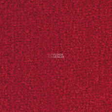 Balsan Les Best S 580 фото 1 | FLOORDEALER