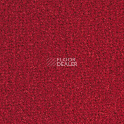Ковролин Balsan Les Best S 580 фото 1 | FLOORDEALER