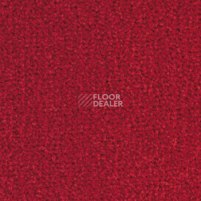Ковролин Balsan Les Best S 580 фото 1 | FLOORDEALER