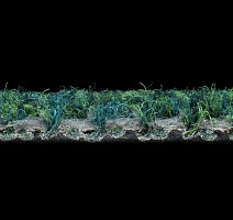 Tessera Chroma 3620 Evergreen фото 6 | FLOORDEALER