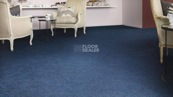 Vorwerk Superior 1041 Vorwerk 3p94 фото 2 | FLOORDEALER