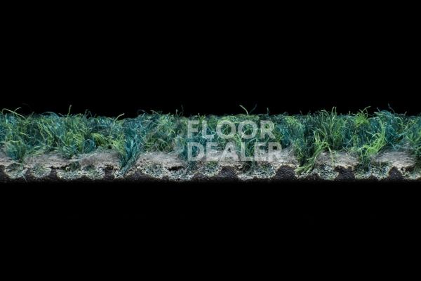 Ковровая плитка Tessera Chroma 3620 evergreen фото 5 | FLOORDEALER