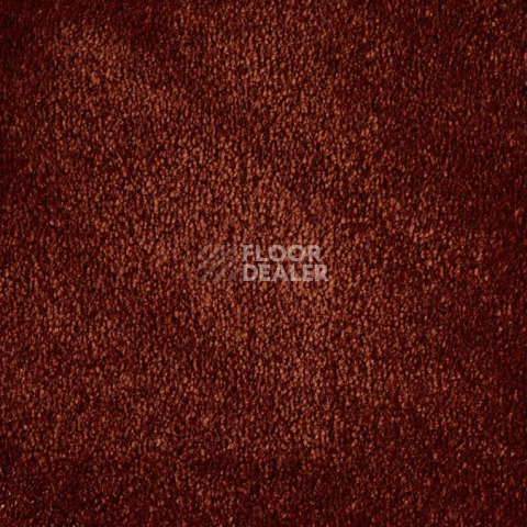 Ковролин ITC Natural Luxury Flooring Chamonix Chamonix 190248 Amber фото 1 | FLOORDEALER