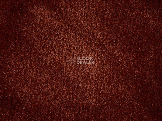 Ковролин ITC Natural Luxury Flooring Chamonix Chamonix 190248 Amber фото 1 | FLOORDEALER