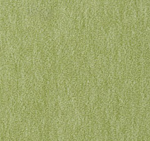 Ковролин Vorwerk Passion 1002 Vorwerk 4e70 фото 1 | FLOORDEALER