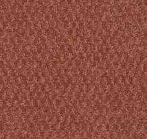 Ковролин Shaw Formation 800 фото 1 | FLOORDEALER