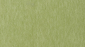 Ковролин Vorwerk Passion 1002 Vorwerk 4e70 фото 1 | FLOORDEALER