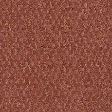 Ковролин Shaw Formation 800 фото 1 | FLOORDEALER